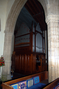 The organ January 2010